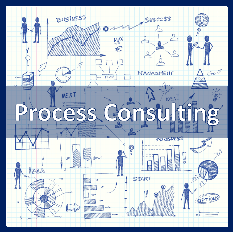 Process Consulting