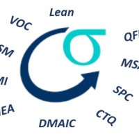 Green Belt Training ,Delhi,India 27-29 May 2016